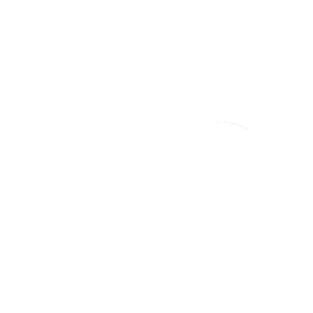 Joints spy de fourche